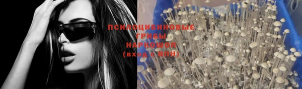 a pvp Бугульма