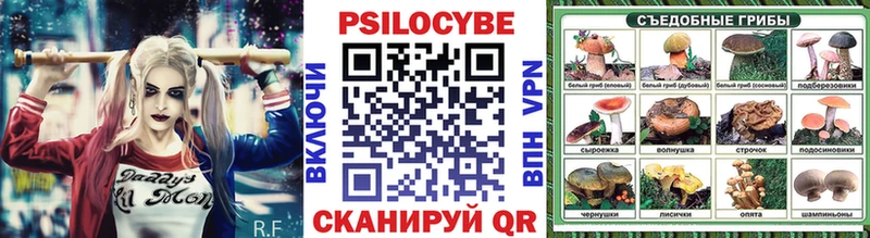 Купить  Кстово  Псилоцибиновые грибы MAGIC MUSHROOMS 